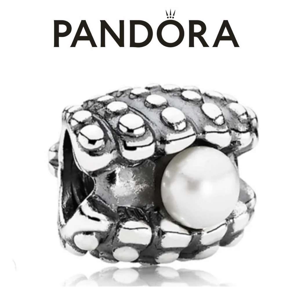 Pandora One of a Kind Shell Charm Retired